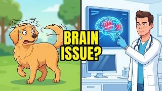 Famous If Your Dog Chases Their Tail, They’re Trying to Tell You This! Wealth