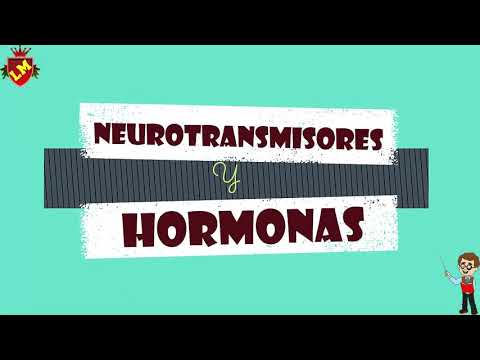 Video: Parte 1. Cómo Las Hormonas Y Los Neurotransmisores Controlan Discretamente Nuestras Elecciones, Sexo Y Relaciones