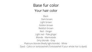 Warrior Cats OC Generator