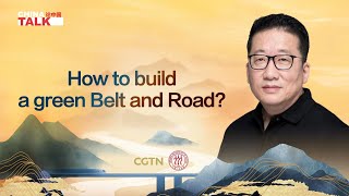 How to build a green Belt and Road? screenshot 4