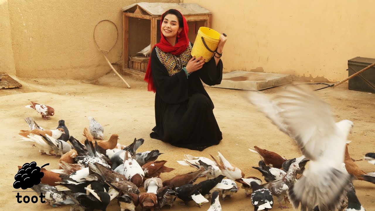 کفتربازی در مزار شریف | Kaftar Bazi In Mazare Sharif