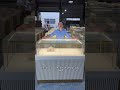 LIGHTING JEWELRY SHOWCASE