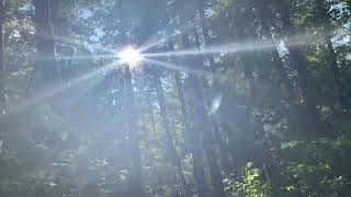 @trinamason asmr gorgeous sun light rays Frday July 8 2022 5:28pm suddenvalley Bellingham Washington