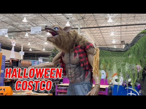 Halloween Decorations from