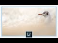 Le pinceau de retouche : tutoriel Lightroom complet