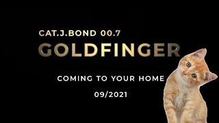 Cats playing James Bond movies : Cat.J.Bond adventures : Goldfinger intro