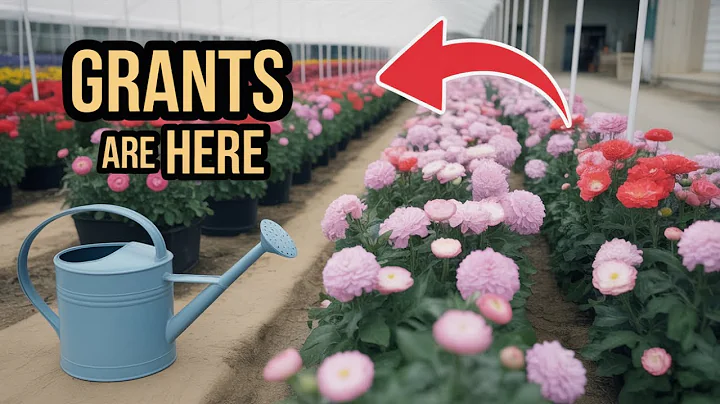 Top 5 Free Grants for Your Dream Flower Farm in 2025!