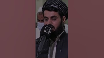 Raad Al kurdi Whatsapp status with Urdu English translation|رعد الكردي حالات واتس اب #سورة_الحجرات