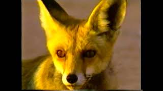 Ras Mohammed National Park Beauty