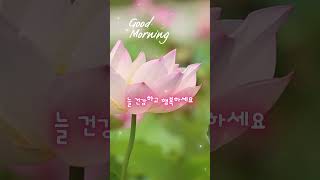 아침명상음악 #힐링음악 #music #healingmusic #편안한음악 #편안한음악 #piano #명상음악 #잔잔한음악 #relaxingmusic  #goodmorning