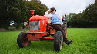 Maddy Street - Big Dreams