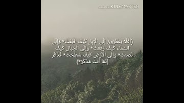 اجمل ايات التدبر في خلق الله مع القارئ الشيخ ياسر الدوسري