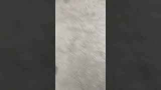 BOOOOMING NEW 2" SALUTE ROCKET Wealth