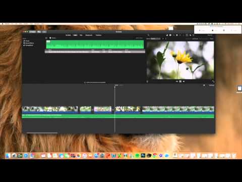 Very Basic tutorial on IMovie