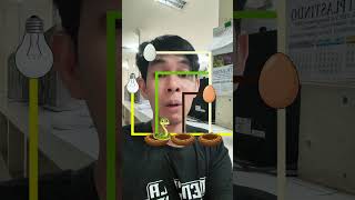 Amazing Game Brainrot Ginikan Caranya Bantu Bobob