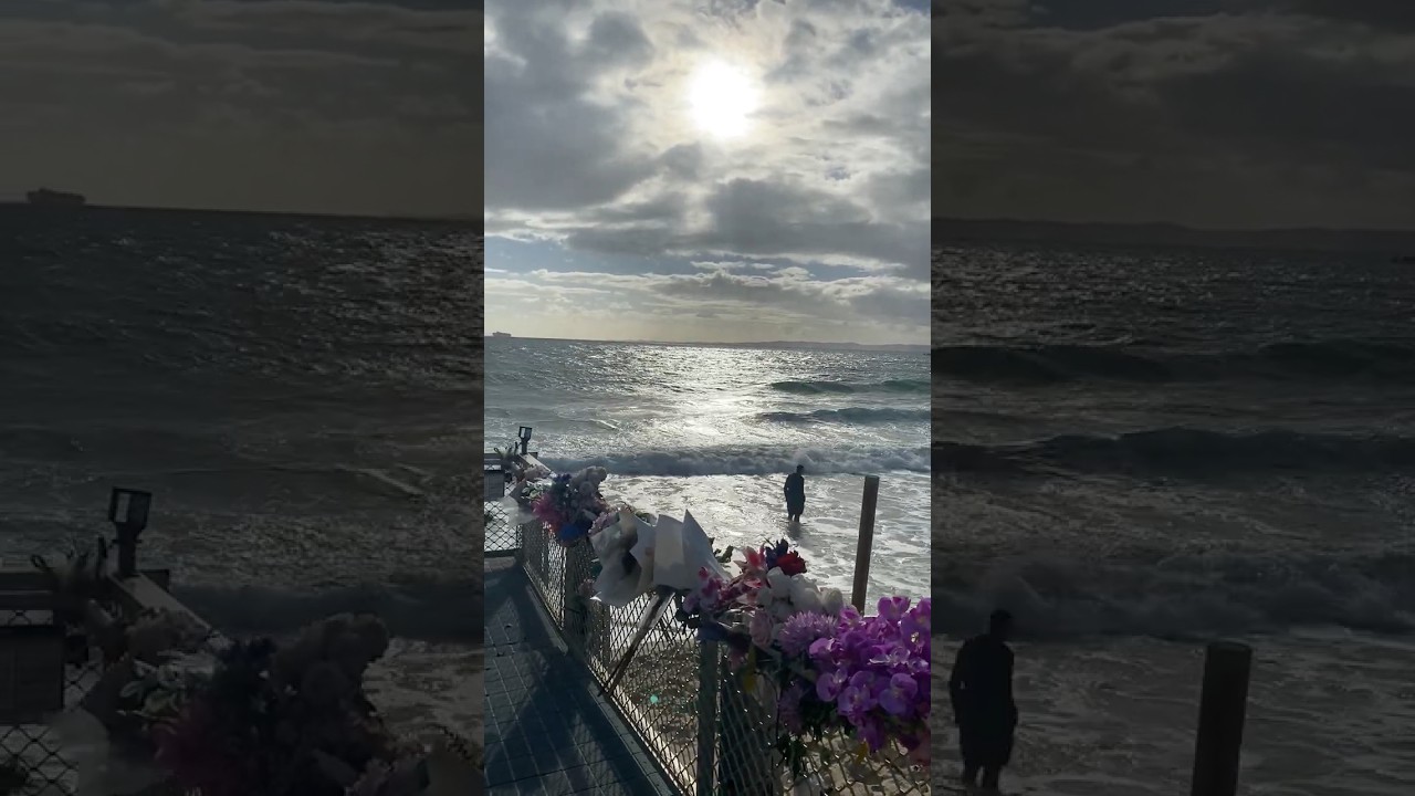 Flowers for Charlize 🐢❤️ Man Swimming Carnival Cruise Ship background. That’s Woorim Beach #LLCZ ❤️