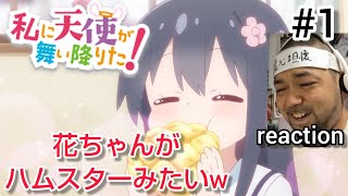 私に天使が舞い降りた! 同時視聴