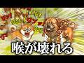 犬になりきって大声で吠え合うゲームがヤバい。【ワンワンバトル】