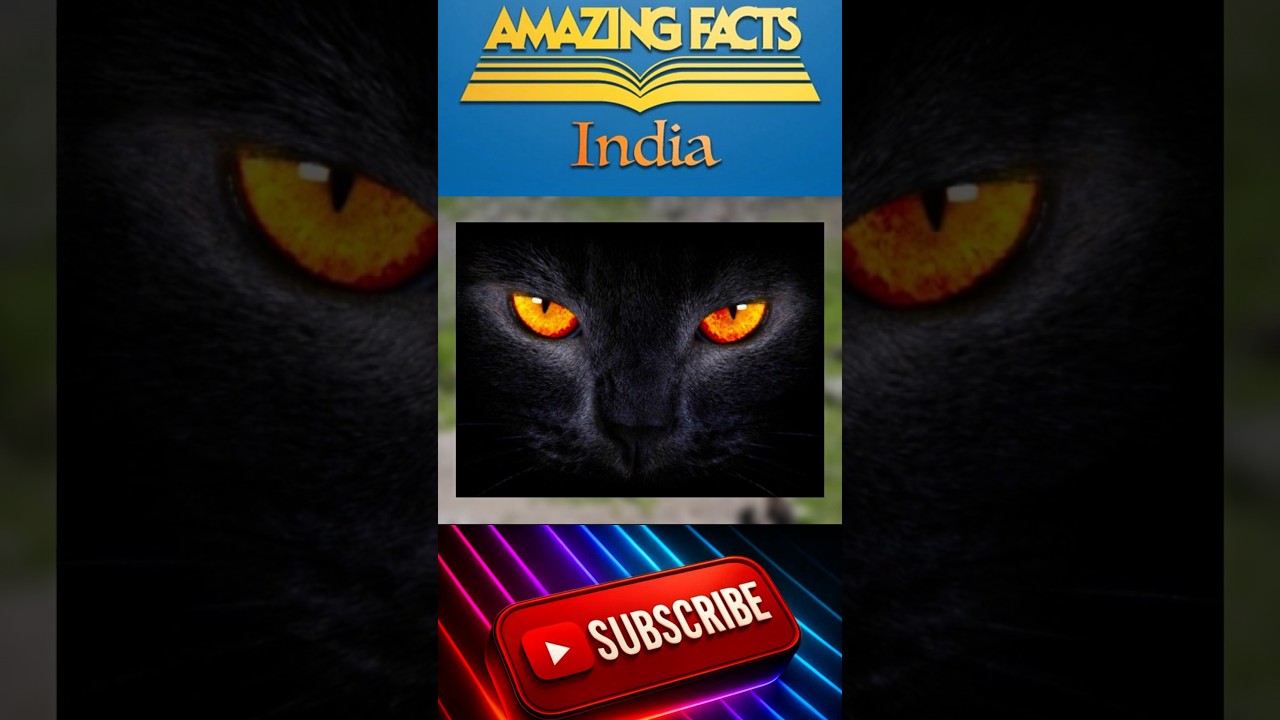 जानवर की आँख रात में क्यूँ चमकता है😱#amzingfacts #facts #woldfact #trending #viralvideos #growth