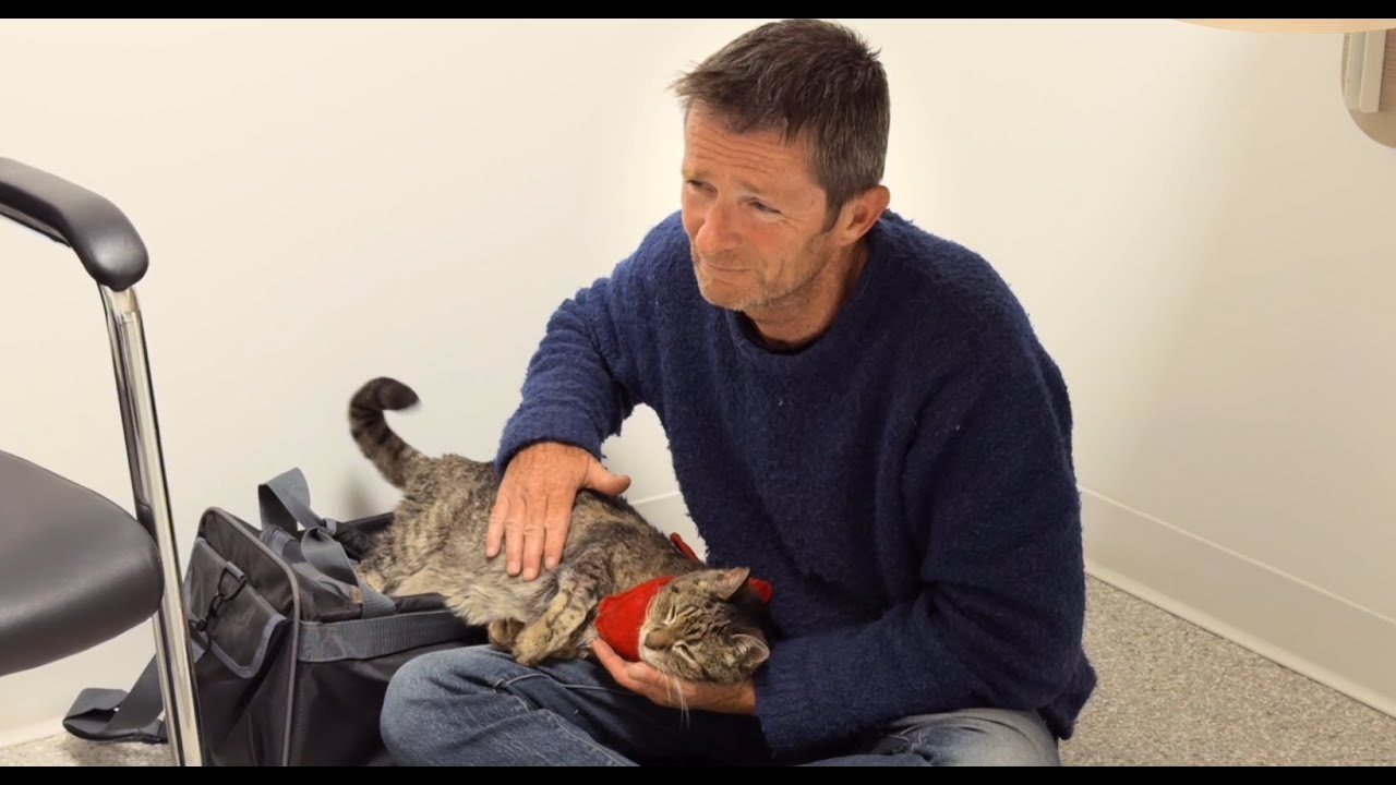 Not-for-Profit Animal Hospital with Heart