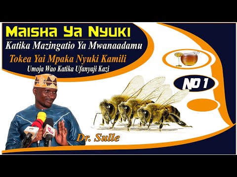 Video: Katika nyuki asali mayai ambayo hayajarutubishwa yanazalishwa?