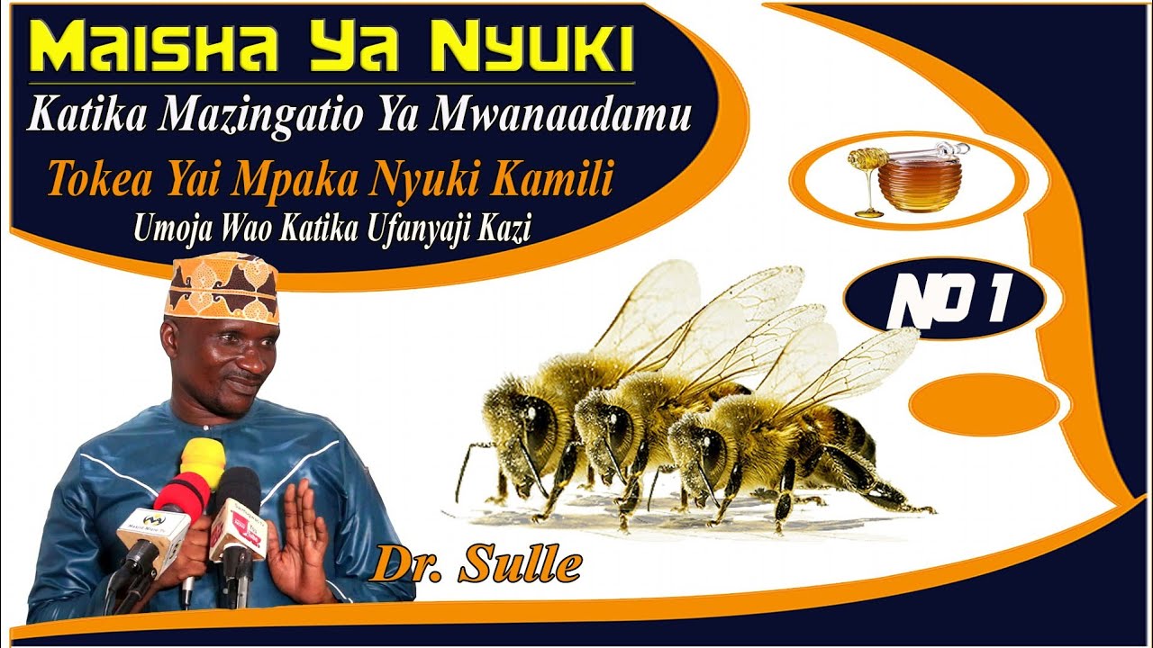 DR. SULLE | MAISHA YA NYUKI  KATIKA MAZINGATIO YA MWANAADAMU NO 1 | TOKEA YAI MPAKA NYUKI KAMILI
