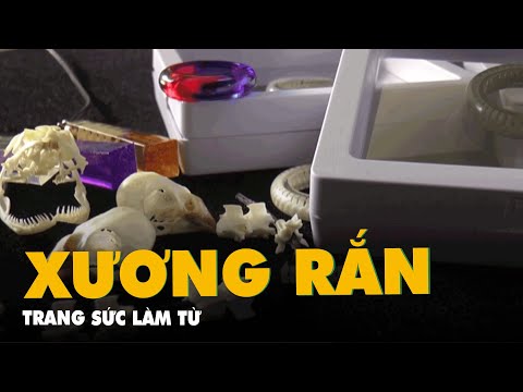 Video Độc đáo những món đồ trang sức từ xương rắn thương phẩm - youtube