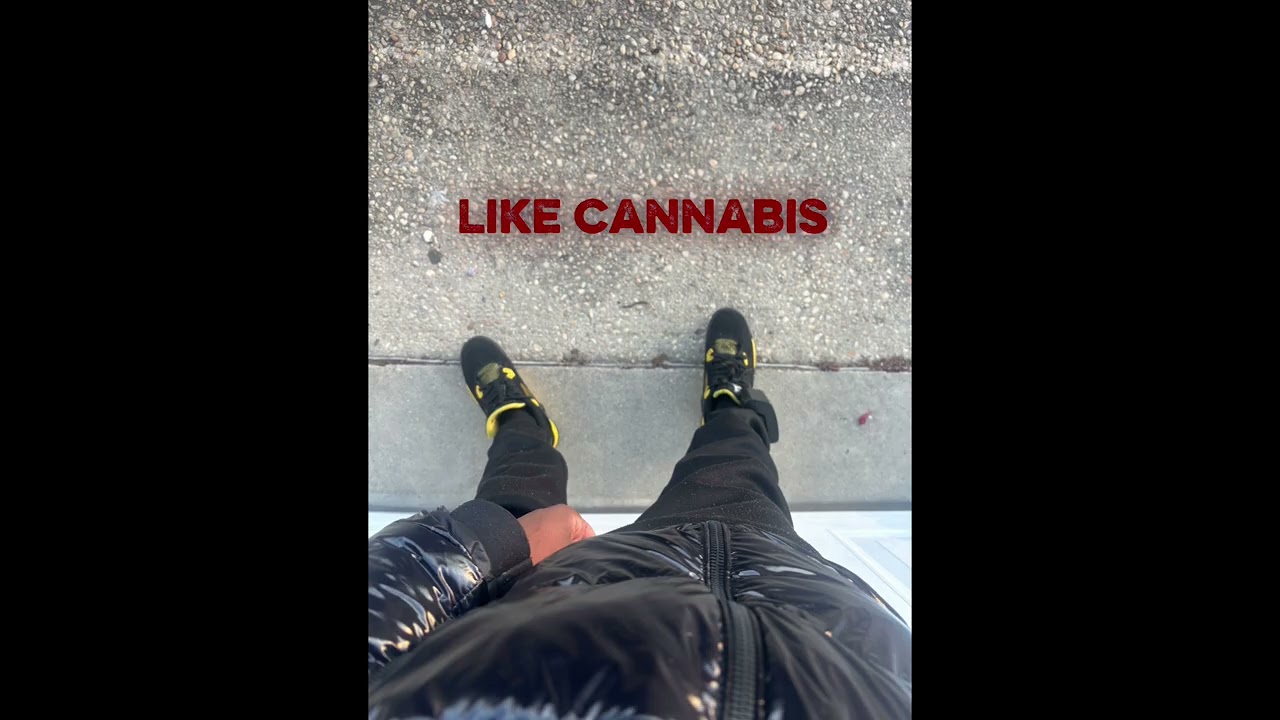 Like cannabis 