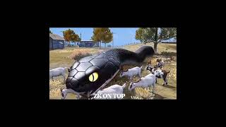 TUNK Tunk Shour And Snak 🐍 Story | ZK ON TOP |Subscribe |FREE FIRE #garenafreefire #story #viralvdo