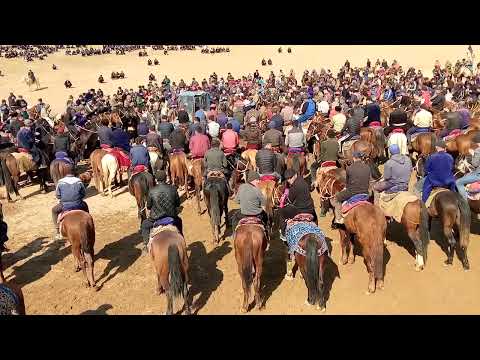 Chiroqchi chiyal Mustang.Napalyon.Otlardi