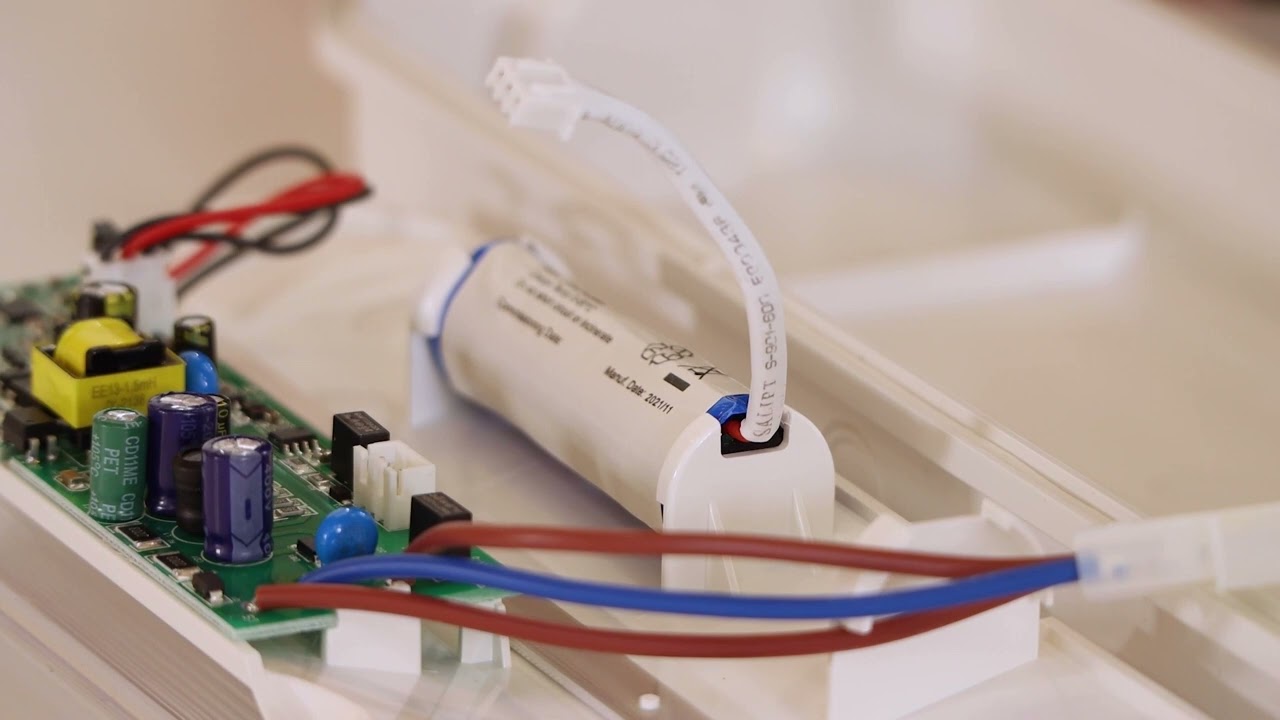 Ansell Guardian Bulkhead Lights