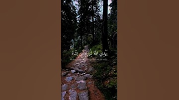 القارئ شريف مصطفى ❤️اكتب شيء تؤجر عليه