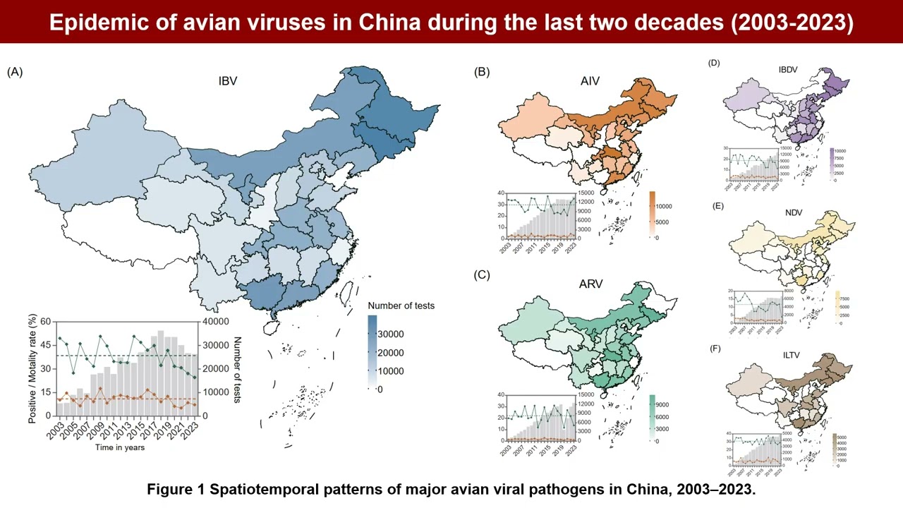 iMetaOmics | Evolution and serotypic dynamics of avian infectious bronchitis virus spike protein