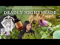 Belladonna Deadly Nightshade, the toxically alluring spirit of the witches’ plant