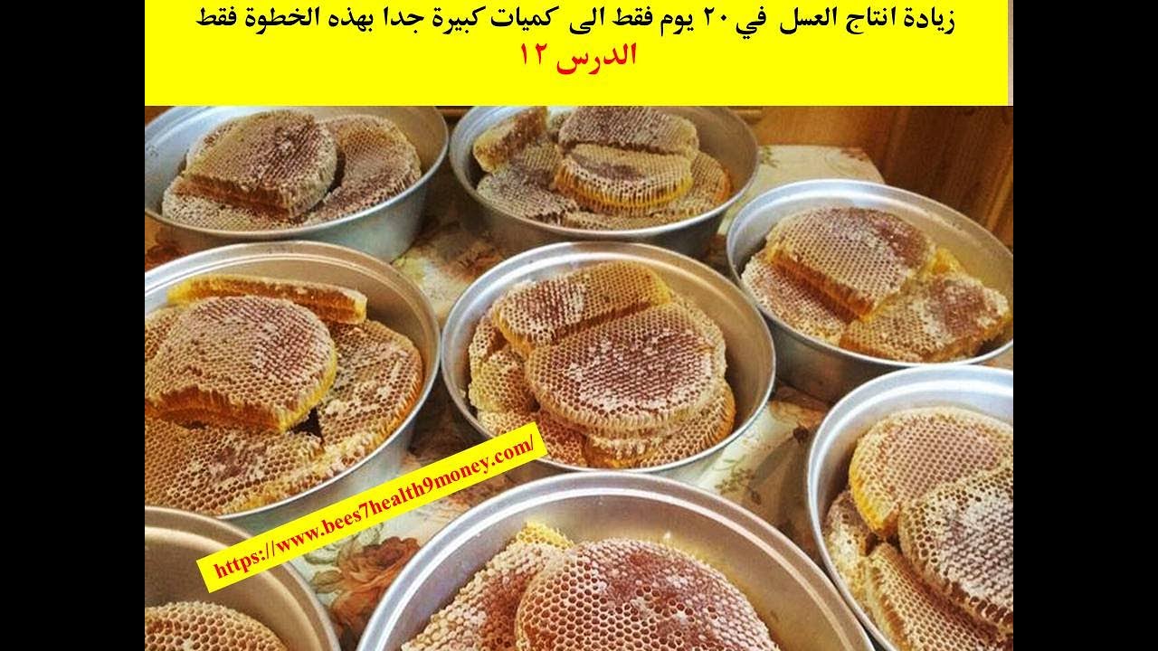 زيادة انتاج العسل  في 20 يوم فقط الى  كميات كبيرة جدا بهذه الخطوة فقط /الدرس 13