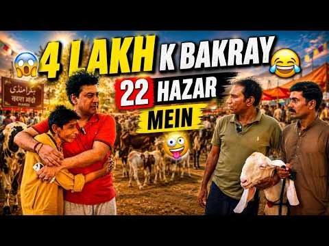 4 Lakh Ka Bakra Sirf 22 Hazar Mein 😱😂 | Bakra Mandi Shock | Rashid Kamal New Comedy Video