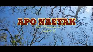 APO NAEYAK- Saddle A/G(fireflies band)