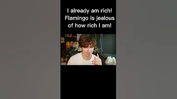 Flamingo Is Jealous Of Me 