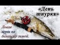 "День шнурка" - Ловля щуки на балансир зимой.