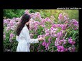 明月夜 小曼 明月夜 小曼