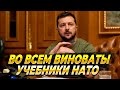 Во всем виноваты учебники НАТО — Новости