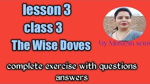 class-3,lesson-3,The Wise Doves, English Reader Mittsure Complete exercise by Mukesh soni