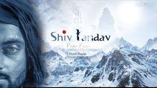 Shiv Tandav (Peace Prayer) - Priyesh Dhoolab | Maha Shivratri screenshot 2