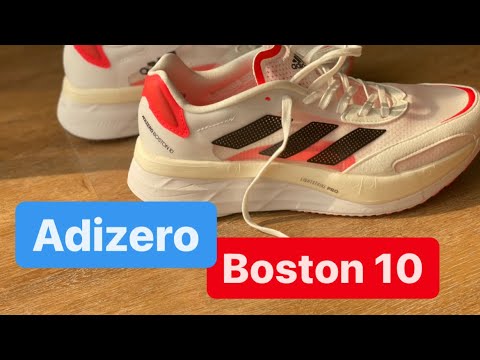 adidas boston intersport