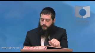 הדף היומי - מסכת חגיגה דף טו