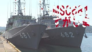 140511_敦賀港[02]MSC681すがしま