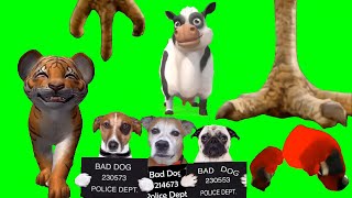 Green Screen Drafts 2