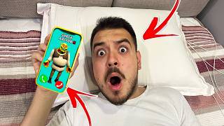 Umut Kevser Shrek Beni̇ Aradi Ne İsti̇yor 