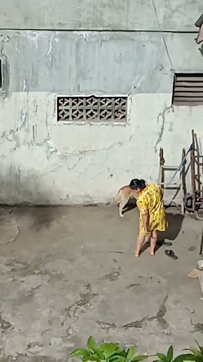 detik-detik ‼️sebelum kejadian#video #short #sorts