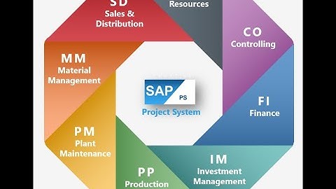 SAP PS (SAP Project System) || 1. Introduction To SAP PS (SAP Project System)